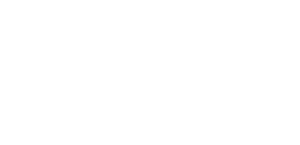 Octavius logo