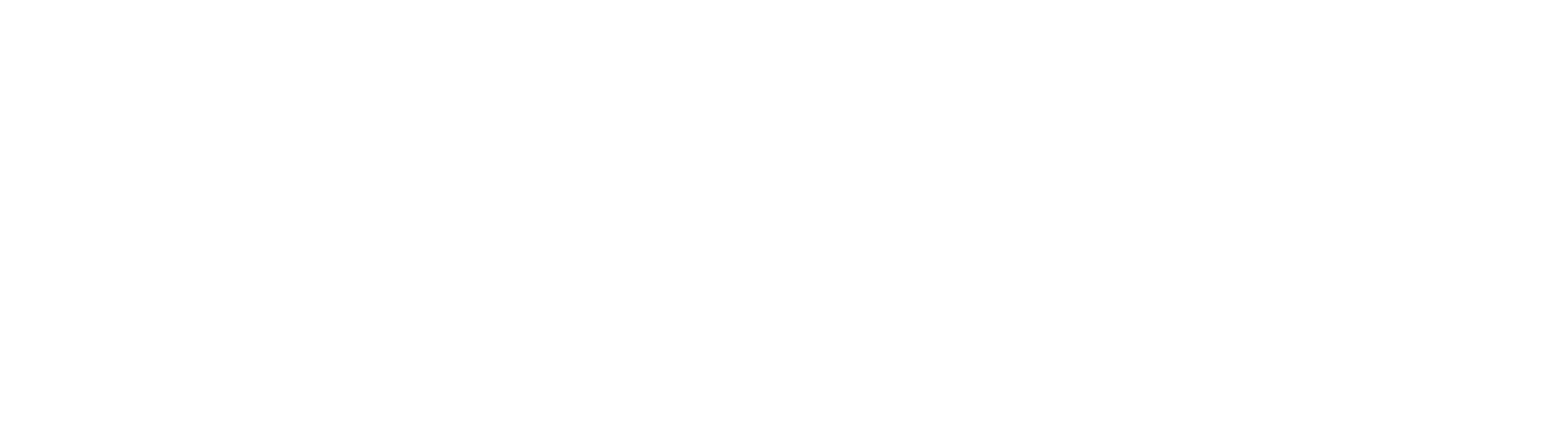 Life Without Barriers logo