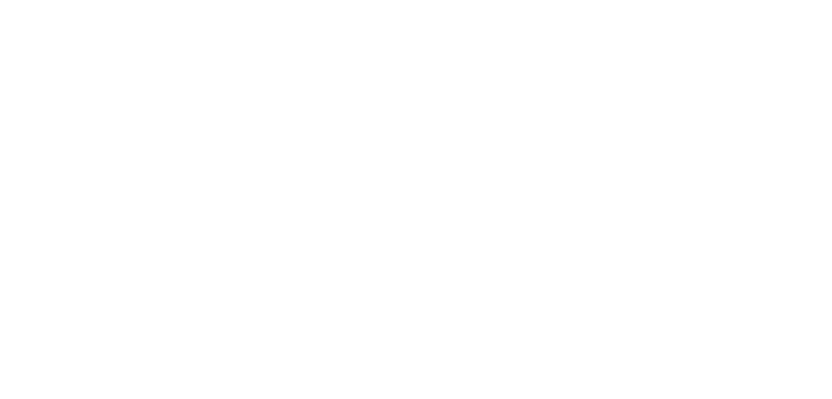 Big Four Audit Firm logo